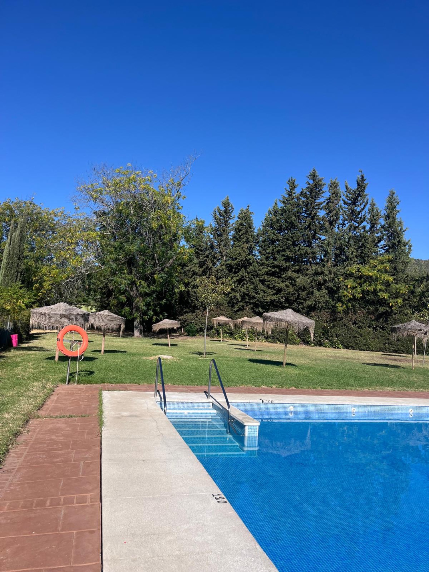 Piscina del club rodeada de césped y árboles